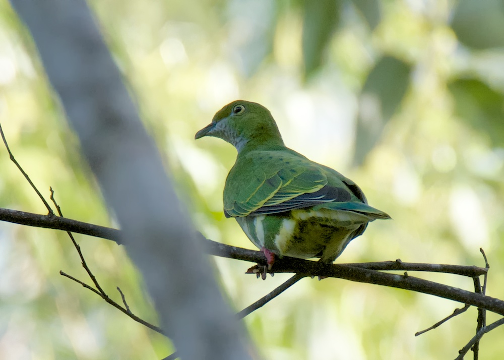 DSC_6499.jpg