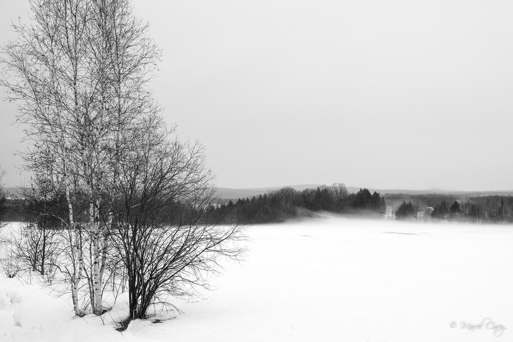 DSC_6499.jpg