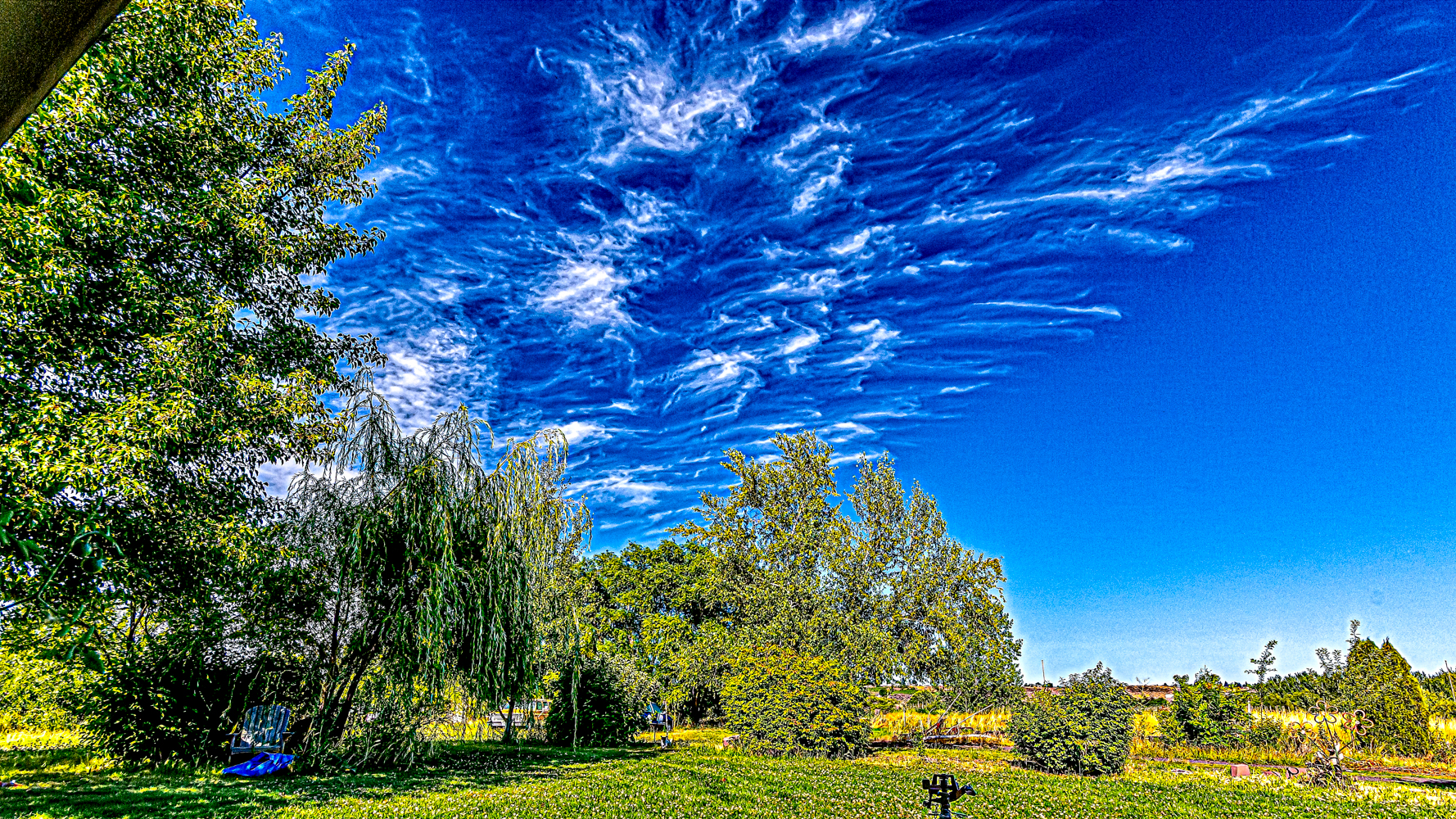 DSC_6500-Edit.jpg