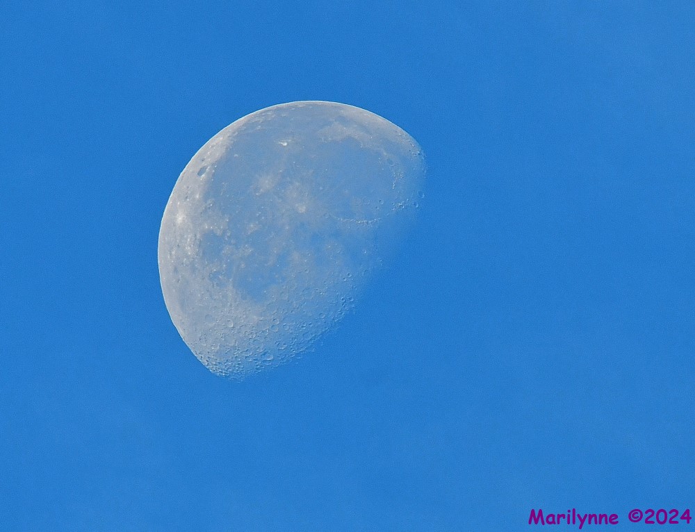 DSC_6502_001.JPG