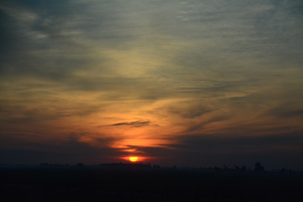 DSC_6505.JPG