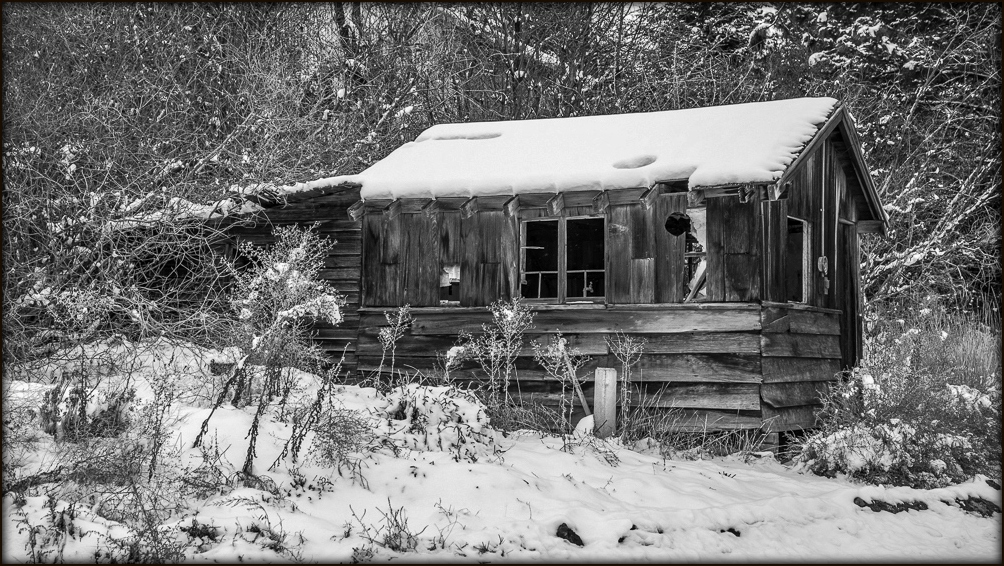 DSC_6506.jpg