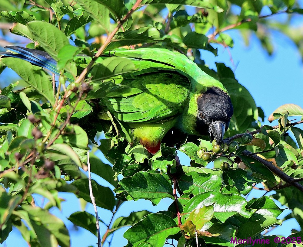 DSC_6506_001.JPG