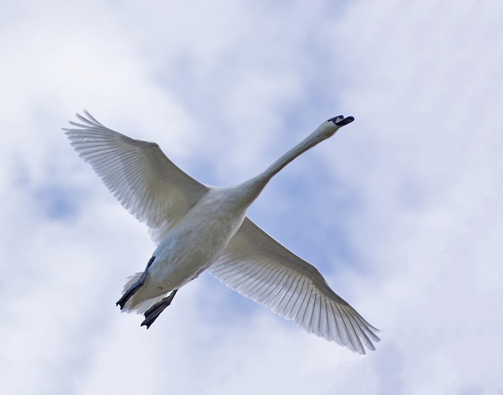 DSC_6508.jpg