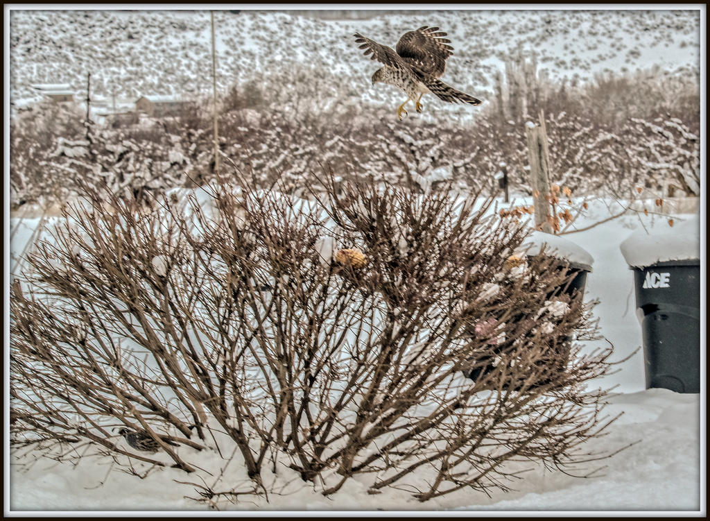 DSC_6509-Edit.jpg
