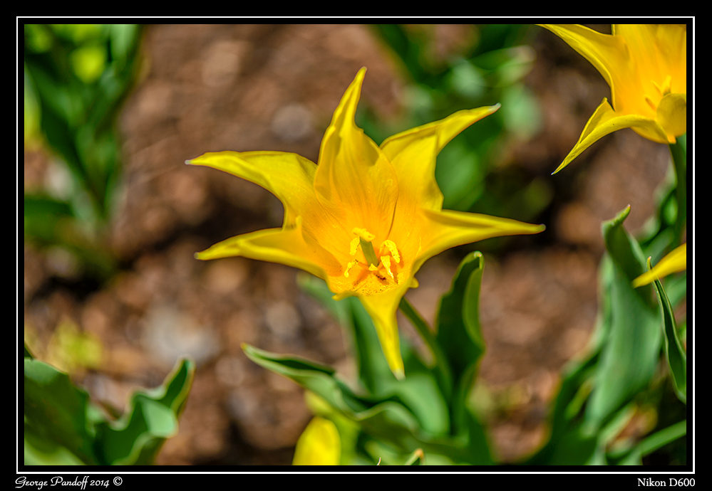 DSC_6509.jpg