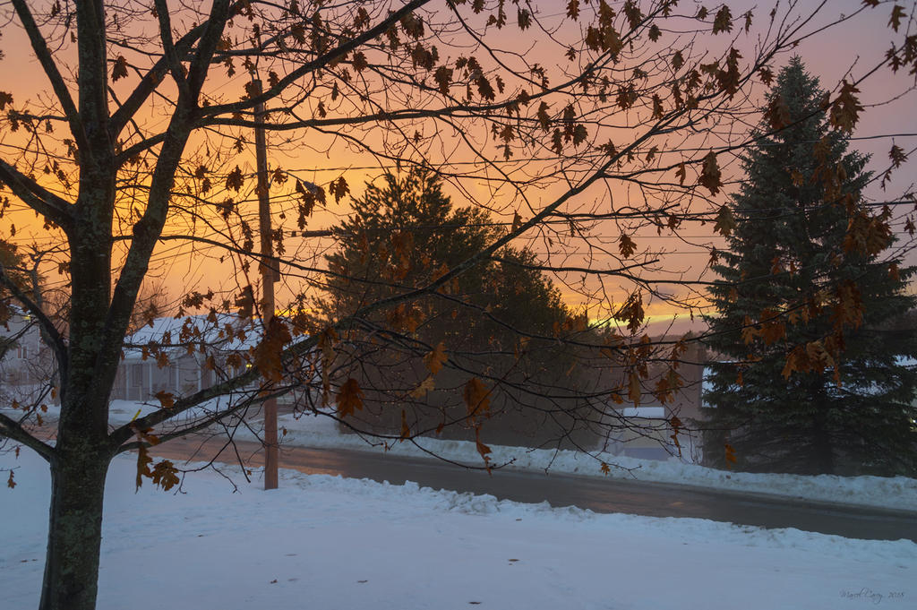 DSC_6510.jpg