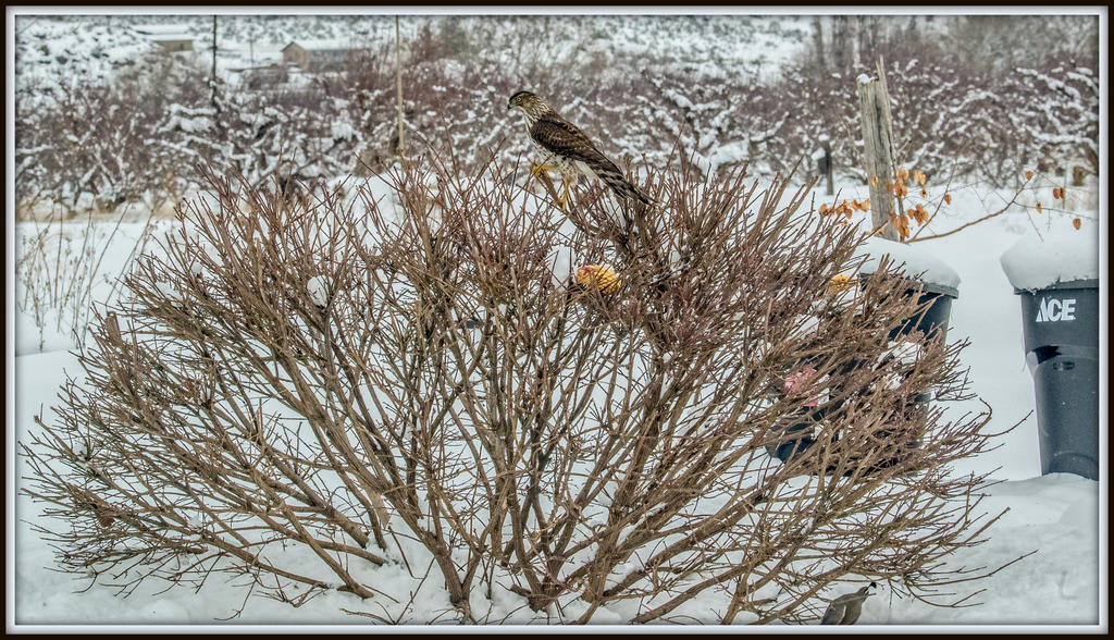 DSC_6511-Edit.jpg