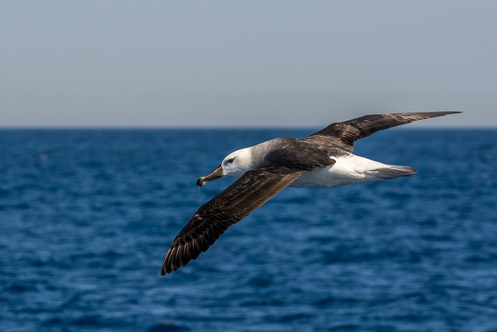 DSC_6512.jpg