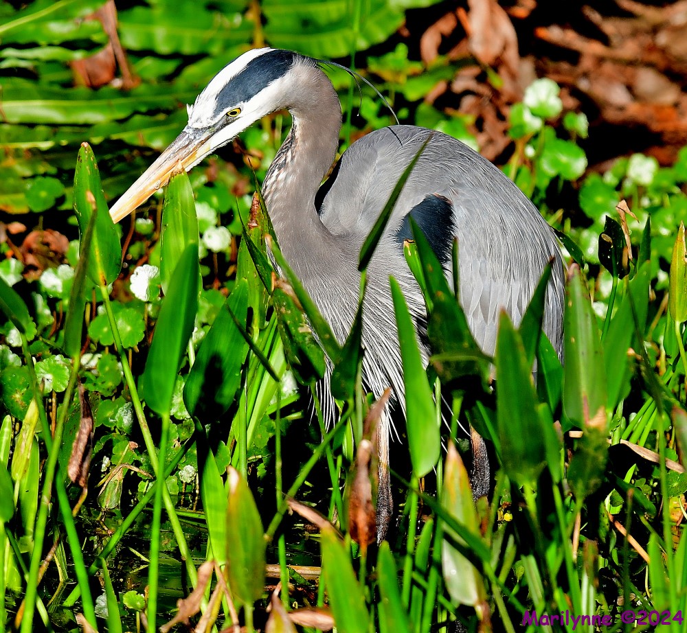 DSC_6514_001.JPG