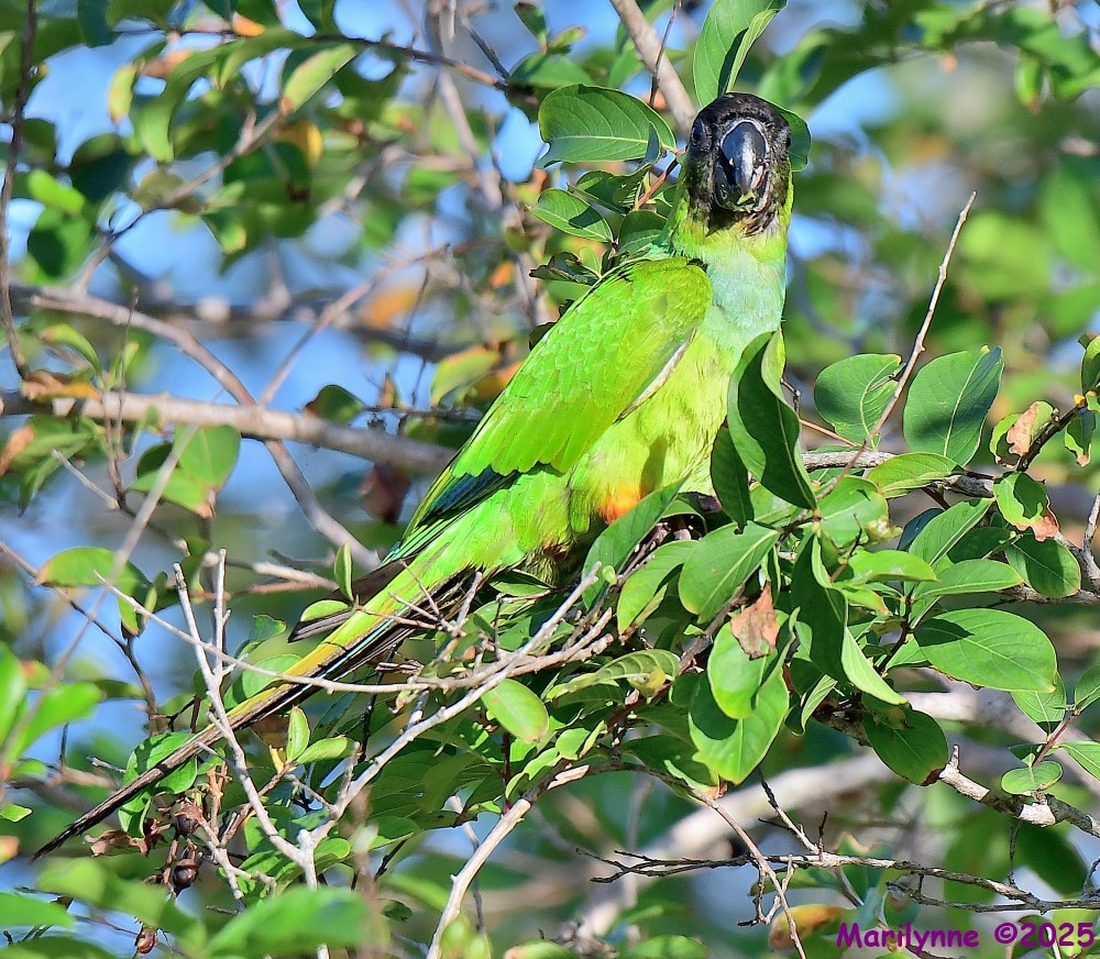 DSC_6521_001.JPG