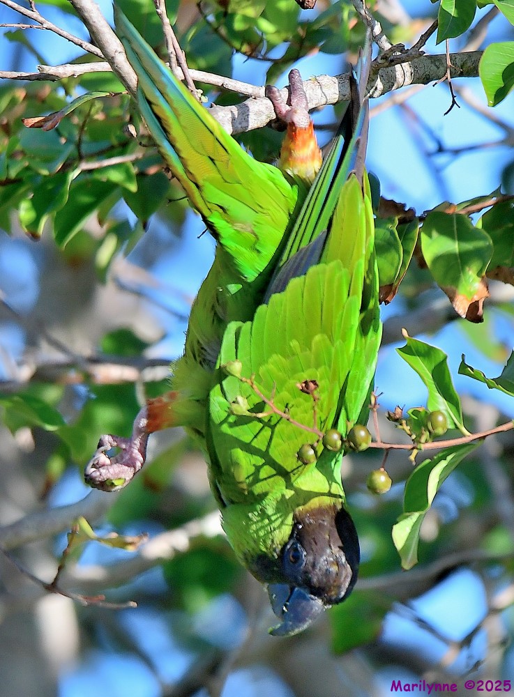 DSC_6526_001.JPG