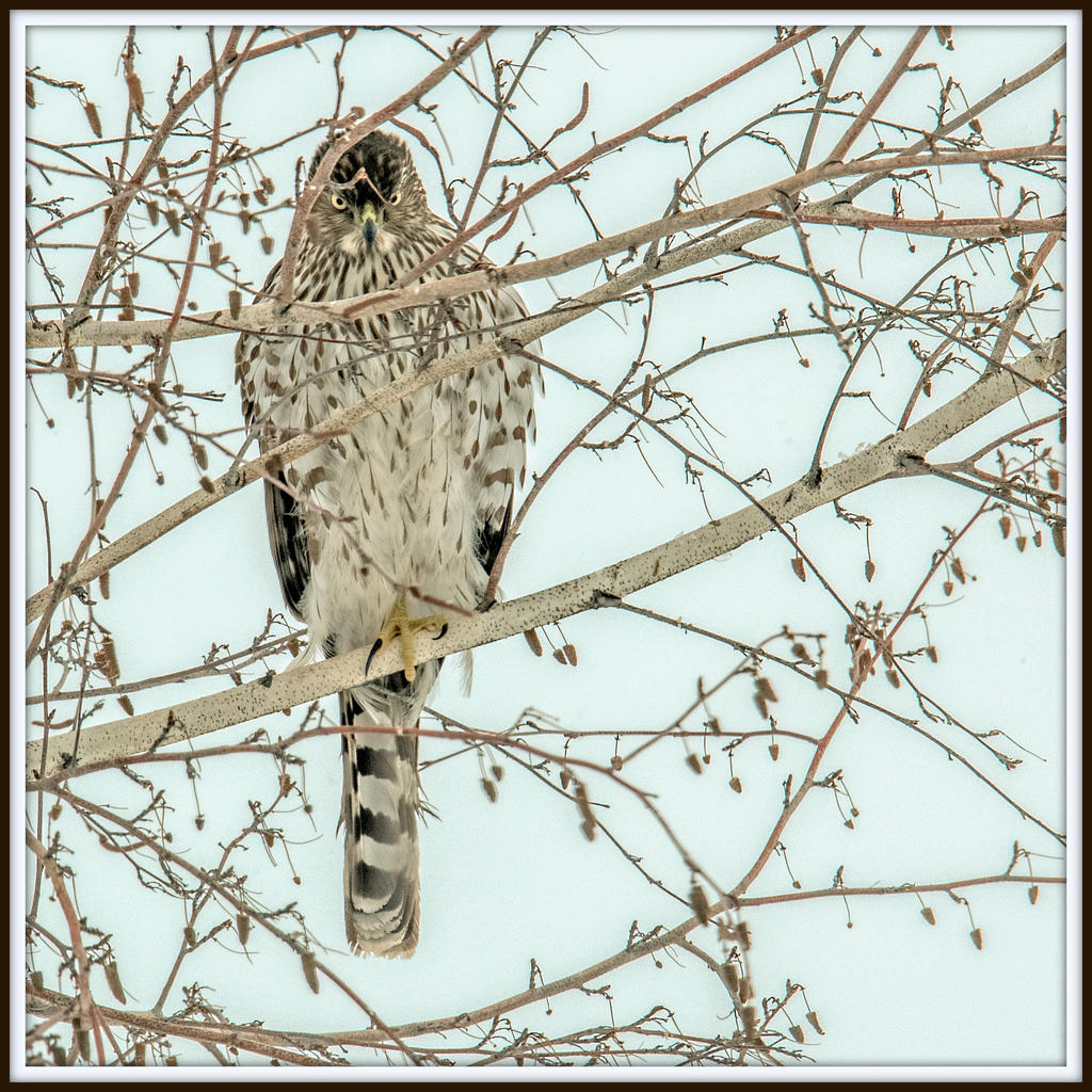 DSC_6527-Edit.jpg