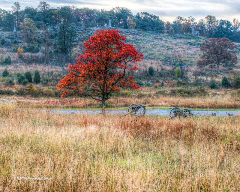 DSC_6527_9063_8_9064_9_9065_tonemapped-2.jpg