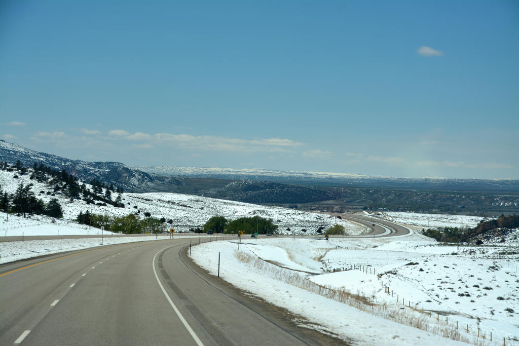 DSC_6528.jpg