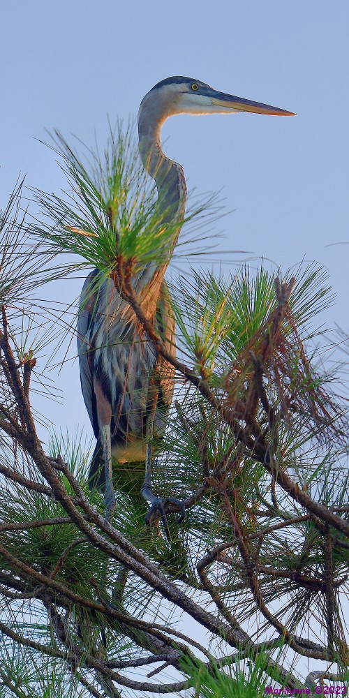 DSC_6535_stitch_001.JPG