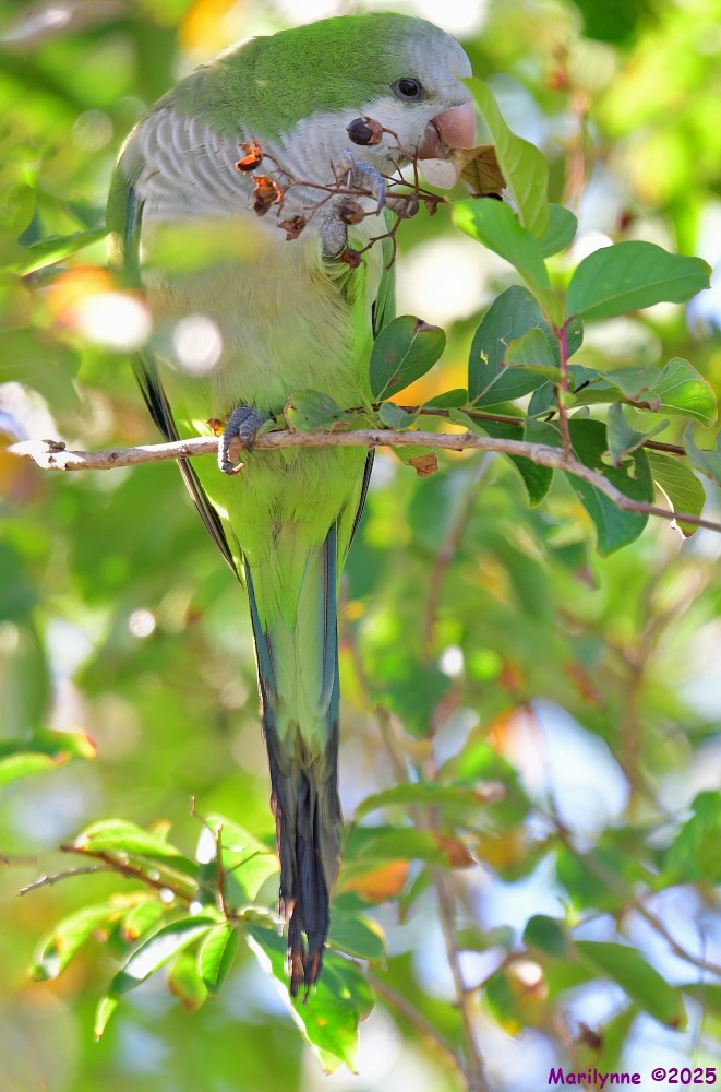 DSC_6538_stitch3_001.JPG