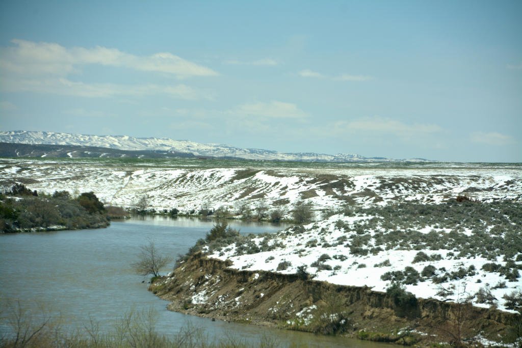 DSC_6543.jpg