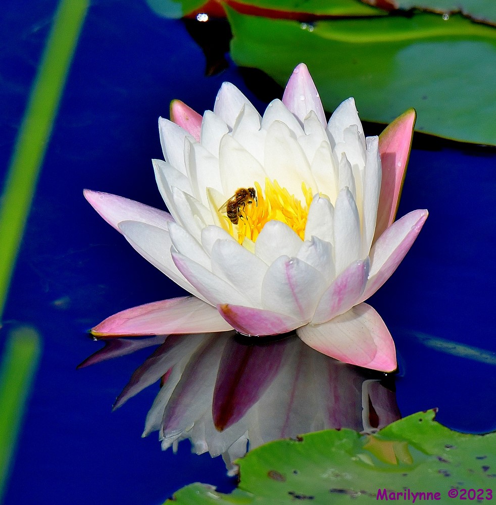 DSC_6543_001.JPG