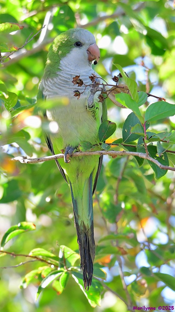 DSC_6545_001.JPG
