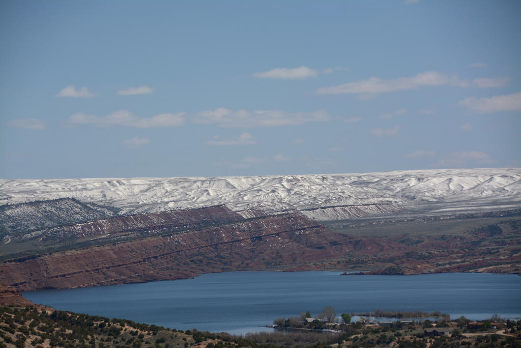DSC_6550.jpg