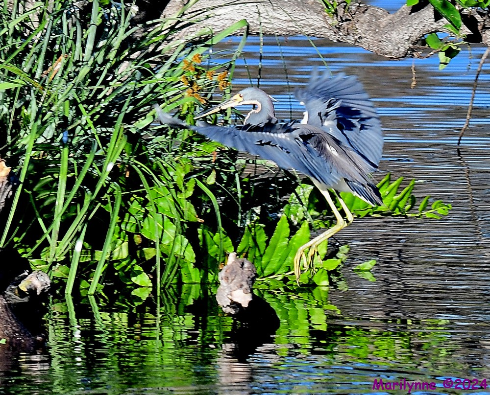 DSC_6552_001.JPG