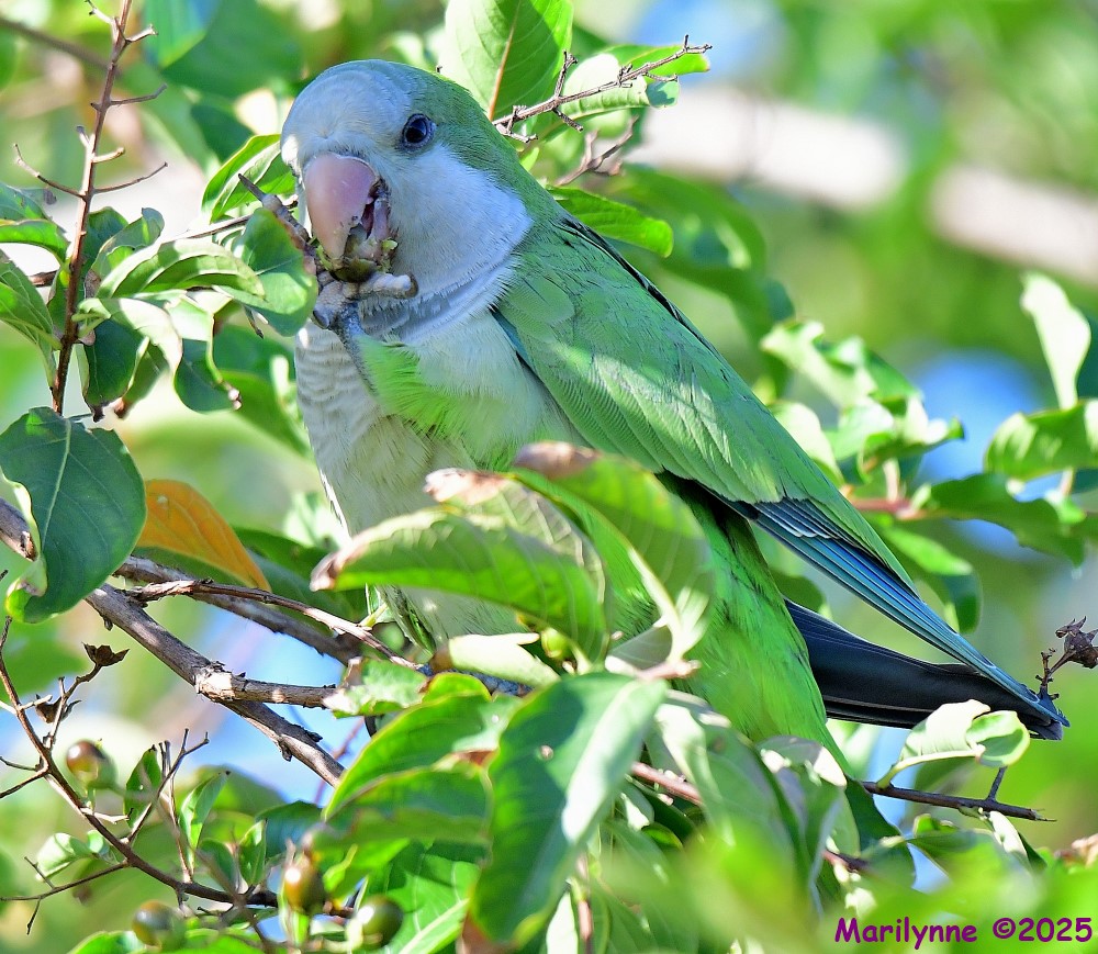 DSC_6552_001.JPG