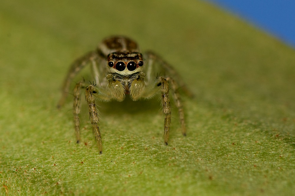 DSC_6557.jpg