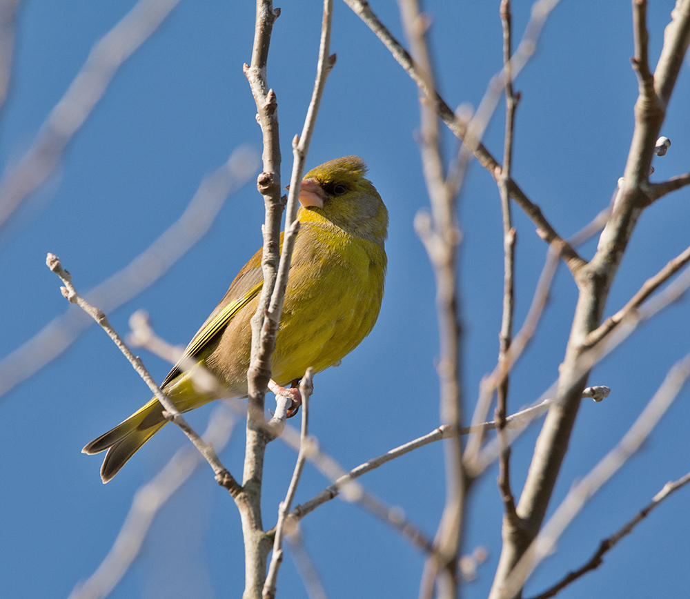 DSC_6557.jpg
