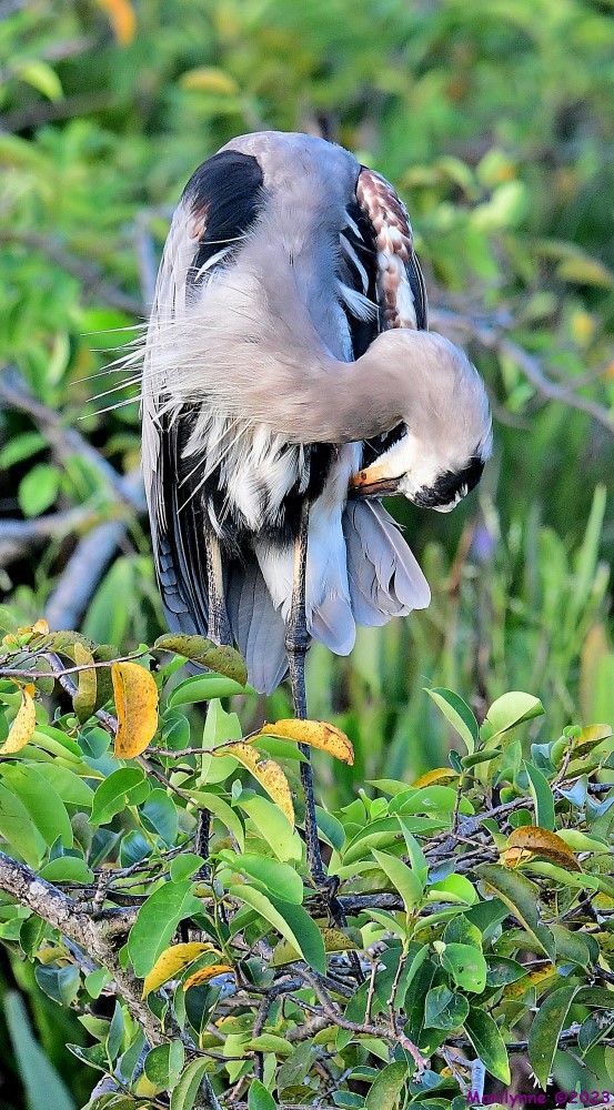 DSC_6557_001.JPG