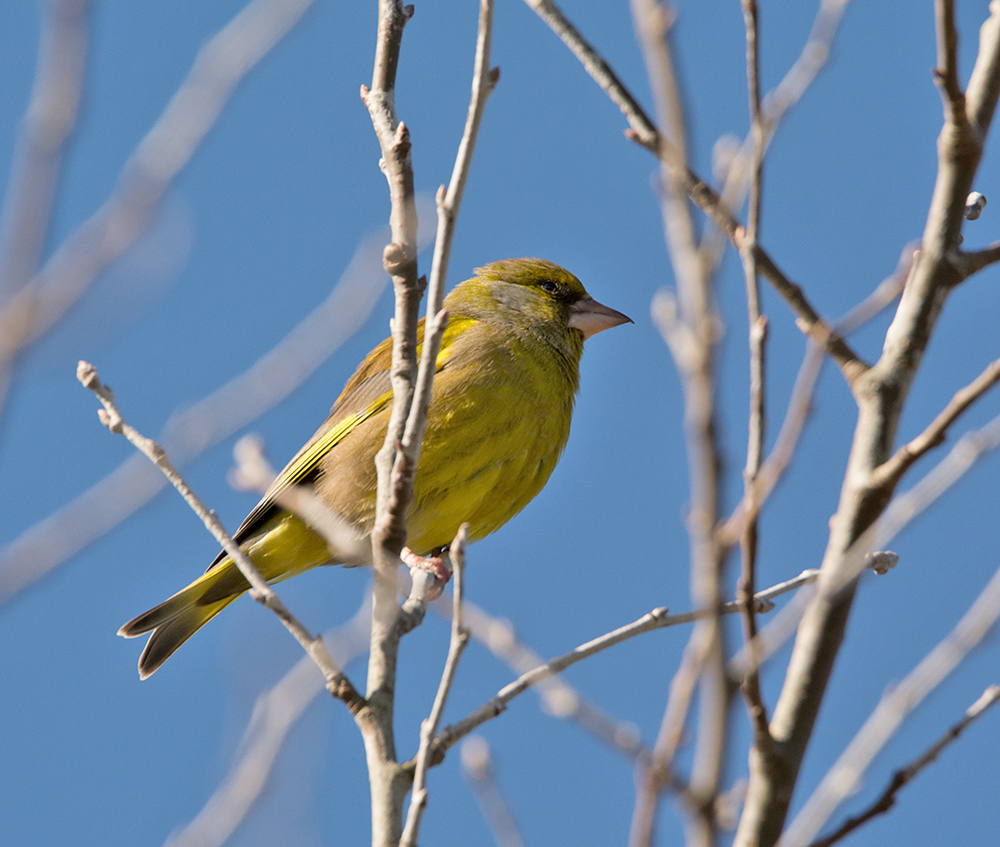 DSC_6560.jpg