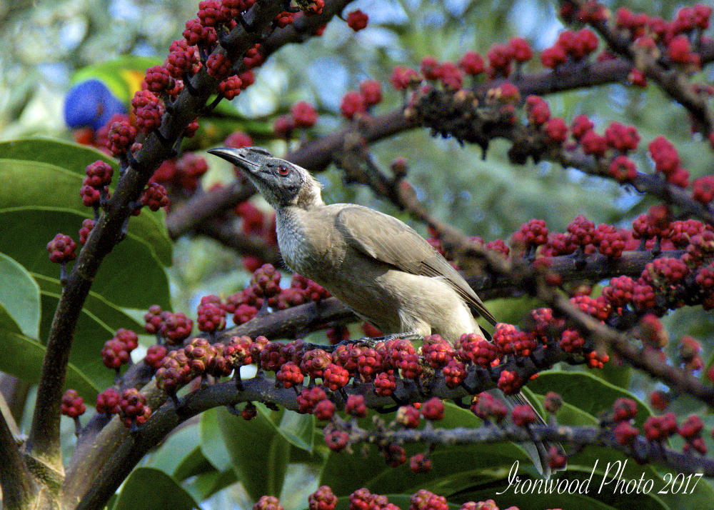 DSC_6562.jpg