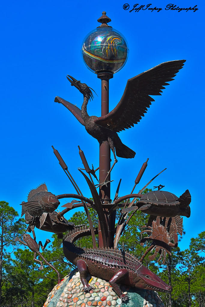 DSC_6563.jpg