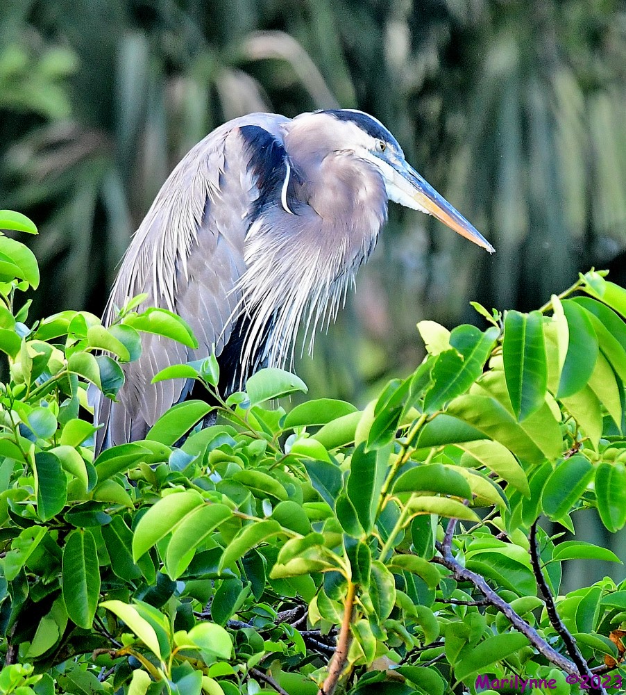 DSC_6563_001.JPG