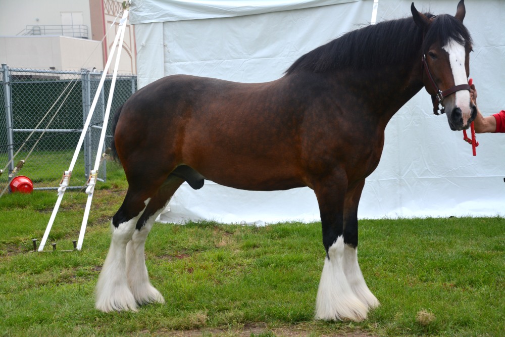 DSC_6566.JPG
