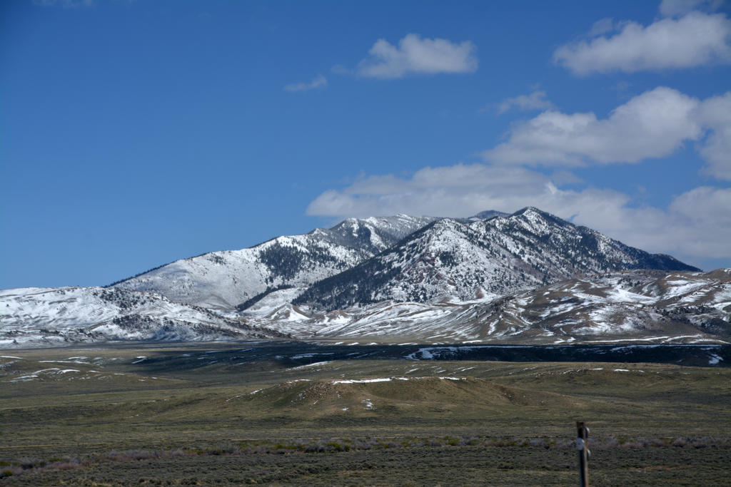 DSC_6566.jpg