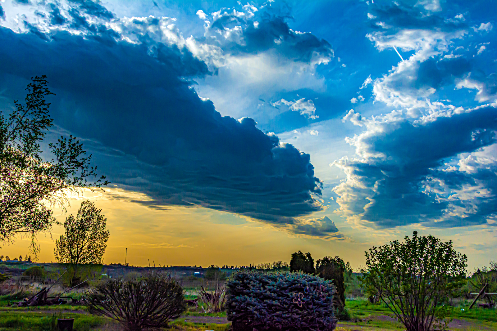 DSC_6569-Edit-Edit.JPG
