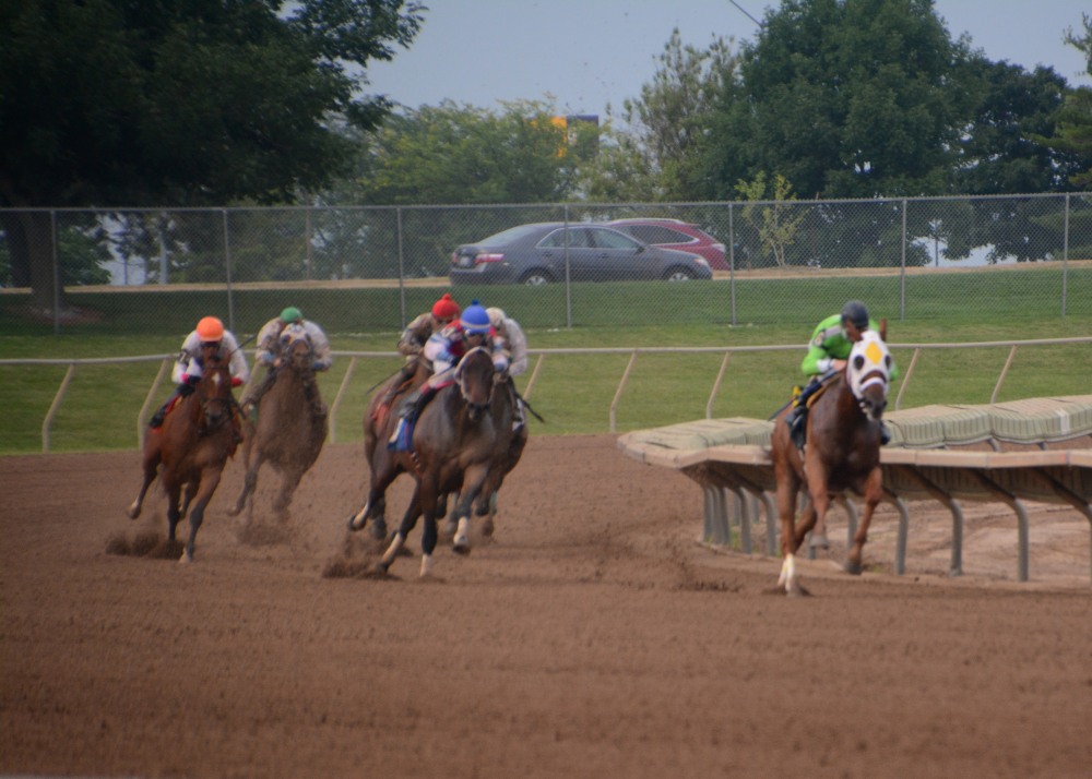 DSC_6569.JPG