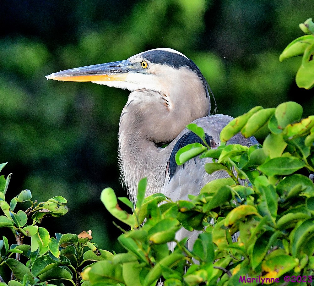 DSC_6571_001.JPG