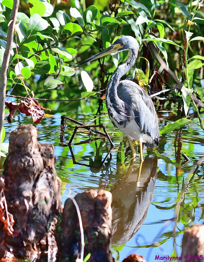 DSC_6571_001.JPG