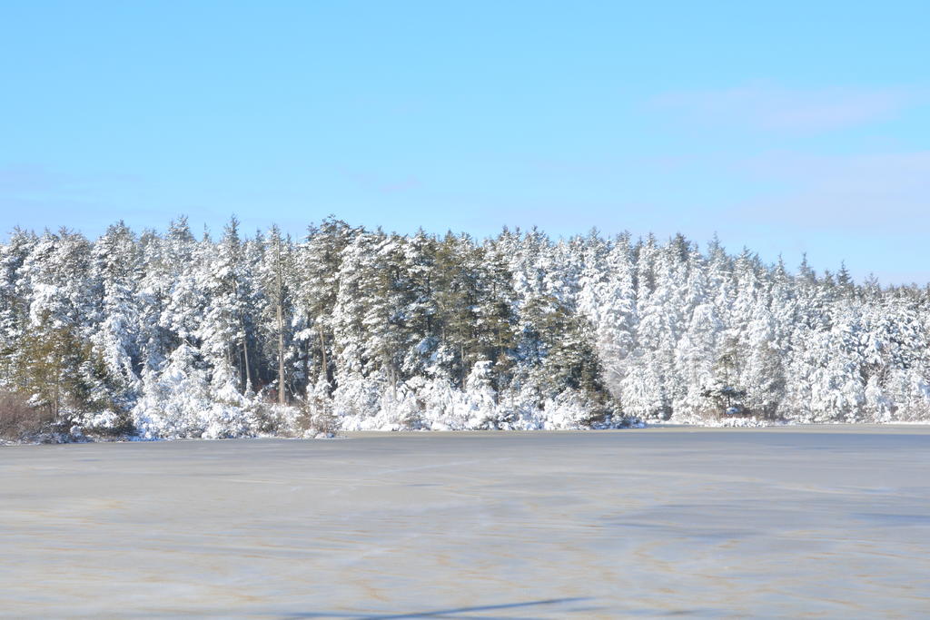 DSC_6574.jpg