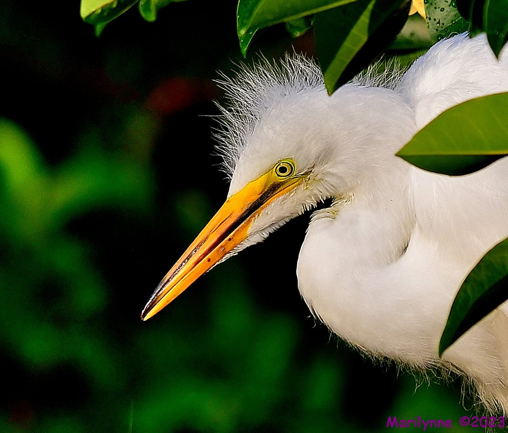 DSC_6578_001.JPG