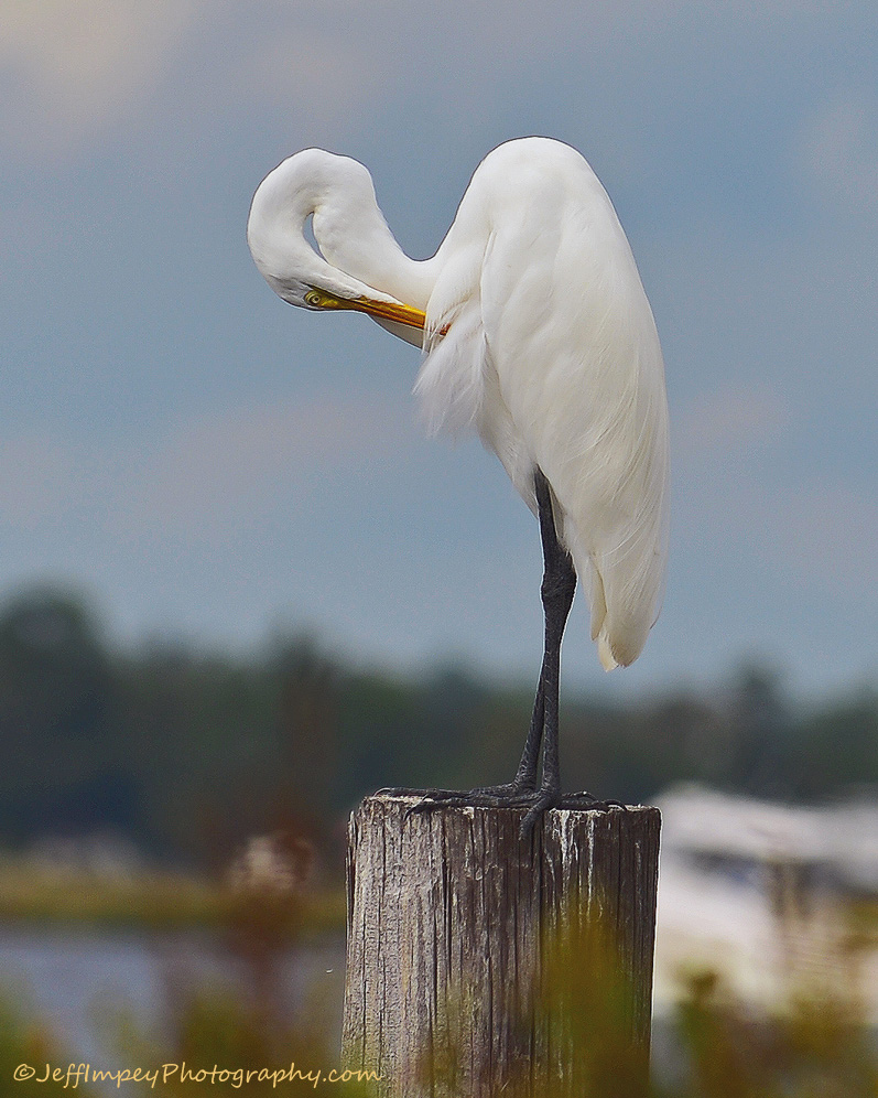 DSC_6580.jpg