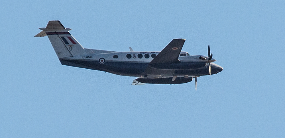 DSC_6581.jpg