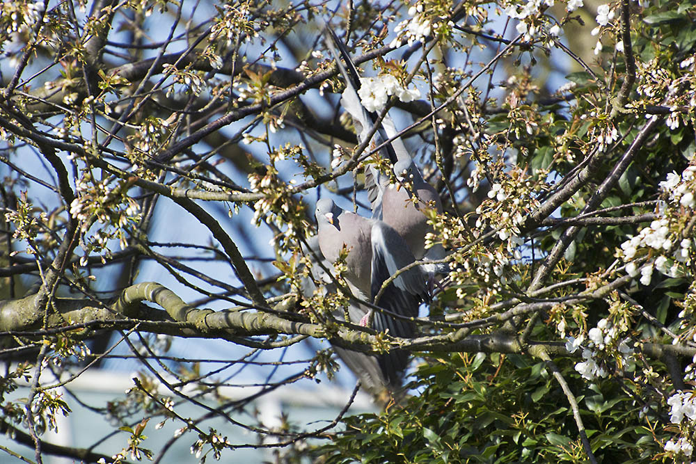 DSC_6582.jpg