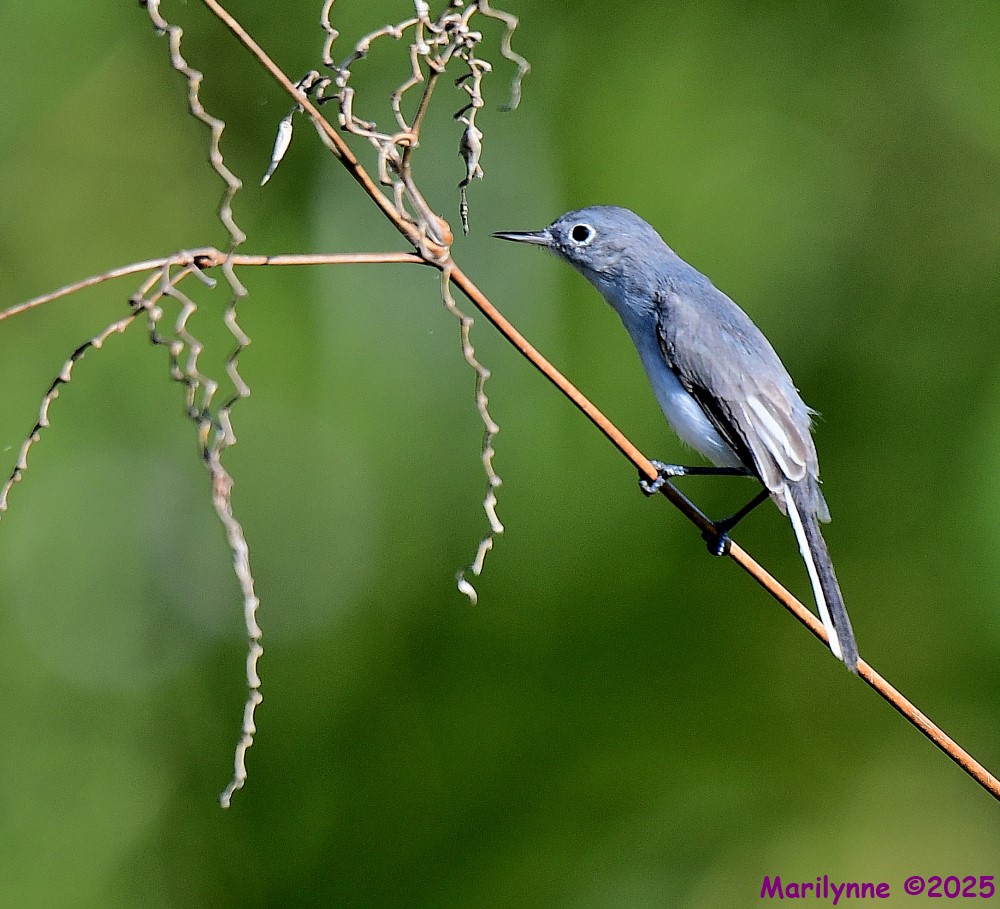 DSC_6586_001.JPG