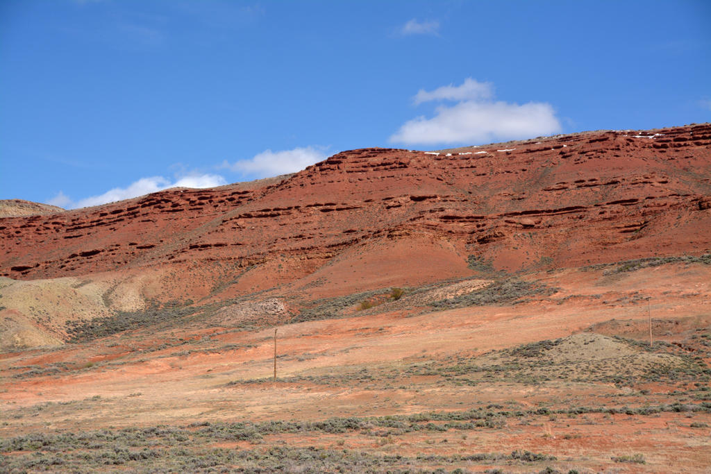 DSC_6601.jpg
