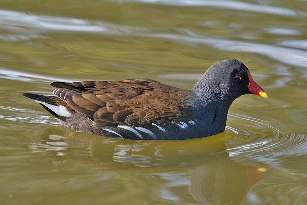 DSC_6613.jpg