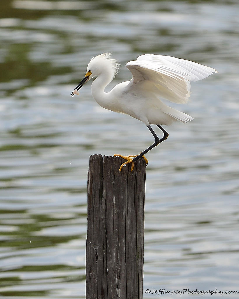DSC_6614.jpg