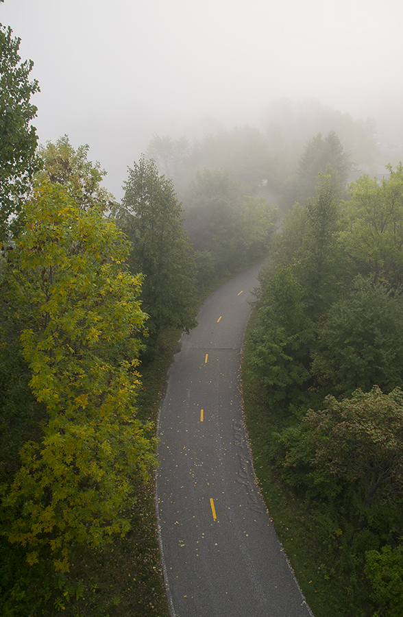 DSC_6616.jpg